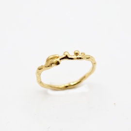 gouden ring cleo-r22 organisch sfeerfoto