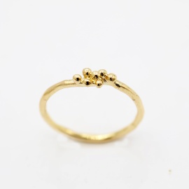 gouden ring cleo-r24 organisch sfeerfoto