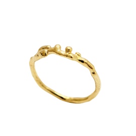 gouden ring cleo-r22 organisch sfeerfoto