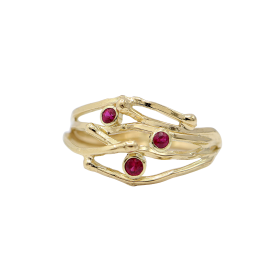 gouden_ring_bron