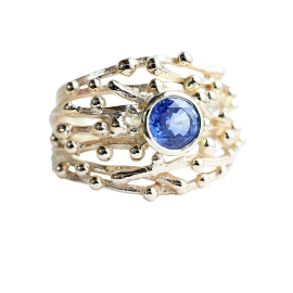 gouden_ring_cari