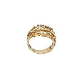 gouden ring nin in organische stijl sfeerfoto