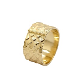 gouden ring serpenty-r1 met slangenprint sfeerfoto
