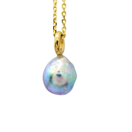 shella_akoya_parel_blauwgrijs_hanger_met_gouden_rond_hangeroog