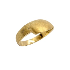 gouden ring twizzel-r4 met opliggend bandje, geheel gematteerd sfeerfoto