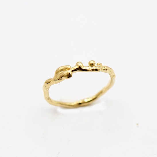 gouden ring cleo-r22 organisch sfeerfoto