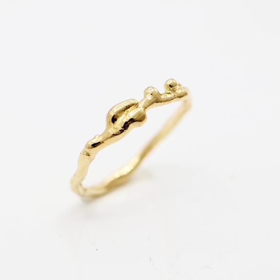 gouden ring cleo-r22 organisch sfeerfoto